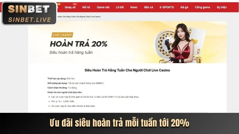 Hỗ trợ khách hàng Casinomcw